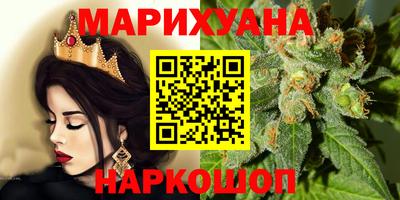шишки Заволжье