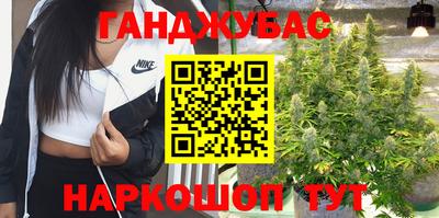 шишки Заволжье
