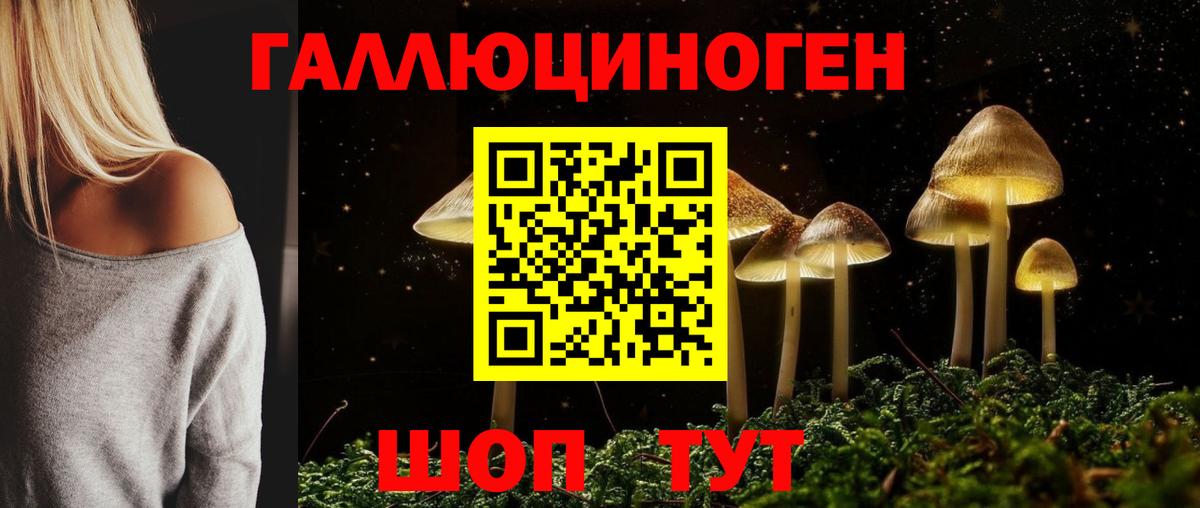 Псилоцибиновые грибы Psilocybine cubensis Кушва